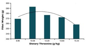 Hình 1: Trọng lượng phi lê cá rô phi được cho ăn với các mức độ threonine khác nhau