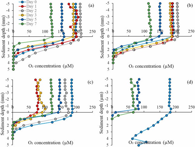 Hình 1. Biểu đồ phân bố nồng độ O2 theo độ sâu cho (a) nhóm đối chứng hoặc DOC0 (ngày nuôi cấy), (b) DOC15, (c) DOC30 và (d) DOC45. Các giá trị thể hiện giá trị trung bình của ba lần đo sinh học, và các thanh lỗi được lược bỏ để dễ quan sát biểu đồ. Độ sâu bằng 0 tương ứng với mặt phân giới giữa trầm tích và nước. Không có dữ liệu cho DOC60, DOC75 và DOC90 được trình bày, vì ngoại trừ ngày 0, không còn oxy.