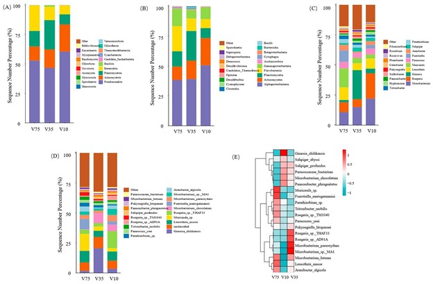 Hình 2: Thành phần và mật độ của quần thể vi sinh vật trong các nhóm cường độ sục khí khác nhau. (A) Cấp độ ngành; (B) Cấp độ lớp; (C) Cấp độ chi; (D) Cấp độ loài; (E) Bản đồ nhiệt về mật độ các loài vi khuẩn ở cấp độ loài. Được điều chỉnh từ hình gốc.