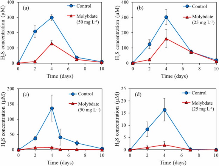 Hình 4. Nồng độ H₂S trong cột nước ở nhóm đối chứng và nhóm bổ sung molybdate đối với (a) DOC90 với 50 mg/L Na₂MoO₄·2H₂O, (b) DOC90 với 25 mg/L Na₂MoO₄·2H₂O, (c) DOC60 với 50 mg/L Na₂MoO₄·2H₂O, và (d) DOC45 với 25 mg/L Na₂MoO₄·2H₂O. Các giá trị biểu thị giá trị trung bình của ba lần đo sinh học, và các thanh lỗi biểu thị độ lệch chuẩn.
