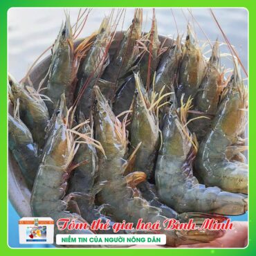 TOM THE THICH NGHI CAO BINH MINH 5