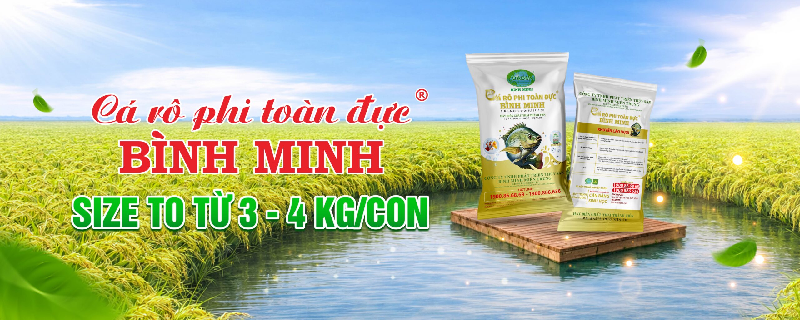 banner sp CA RO PHI TOAN DUC BINH MINH scaled