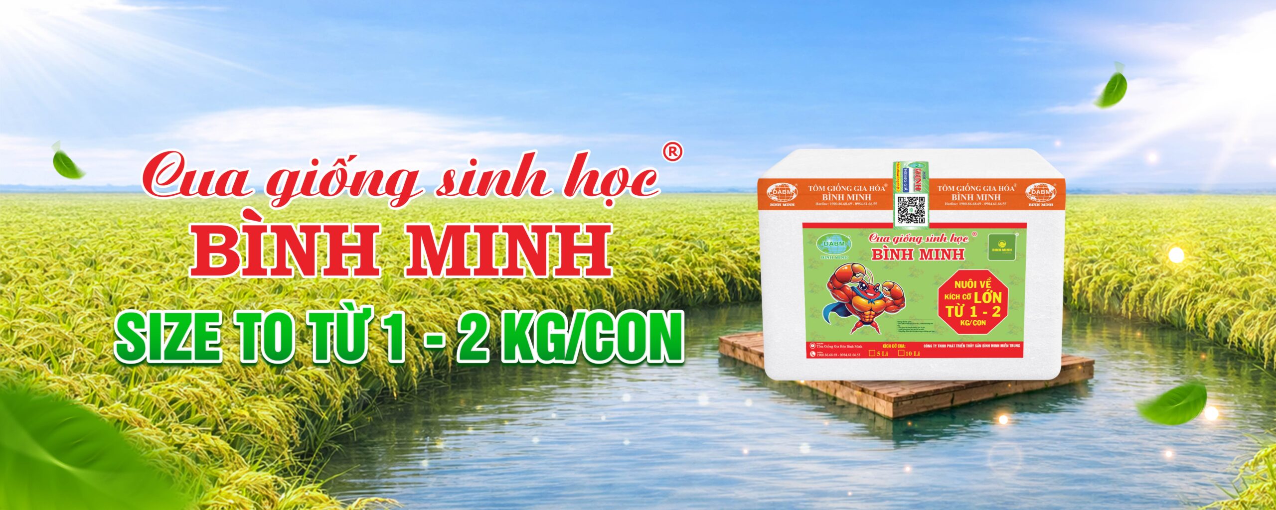 banner sp CUA SINH HOC BINH MINH scaled