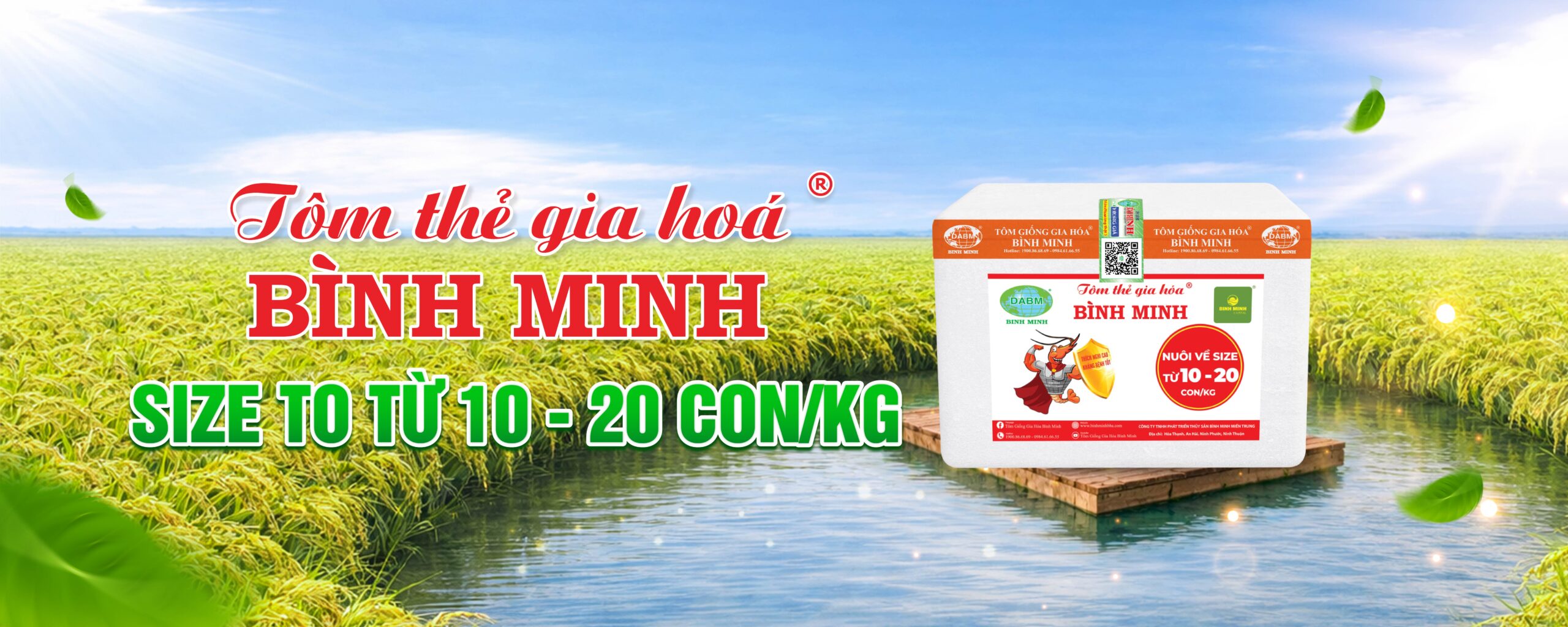 banner sp TOM THE GIA HOA BINH MINH scaled