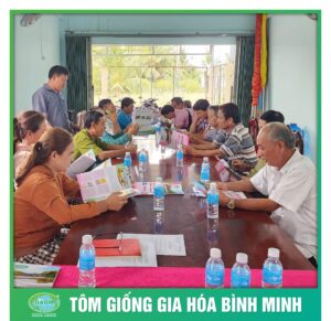 hoi thao chia se cung tom giong binh minh 6