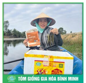 nang cao sinh ke cung tom giong binh minh 4
