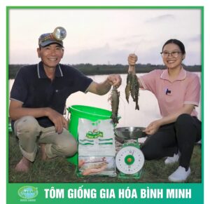 nang cao sinh ke cung tom giong binh minh 5