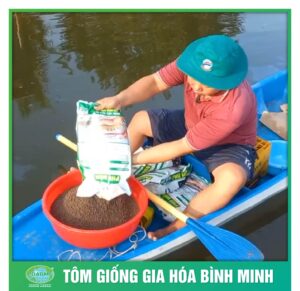 nang cao sinh ke cung tom giong binh minh 6