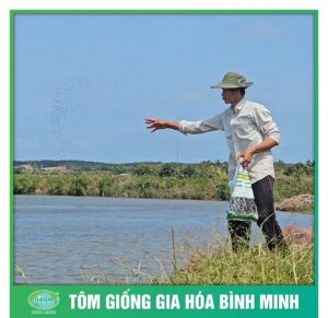 nang cao sinh ke cung tom giong binh minh 7