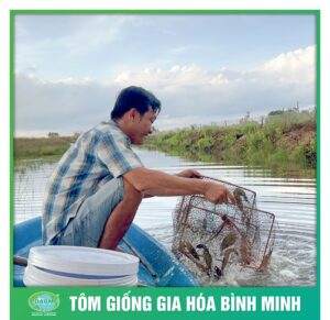 nang cao sinh ke cung tom giong binh minh 9