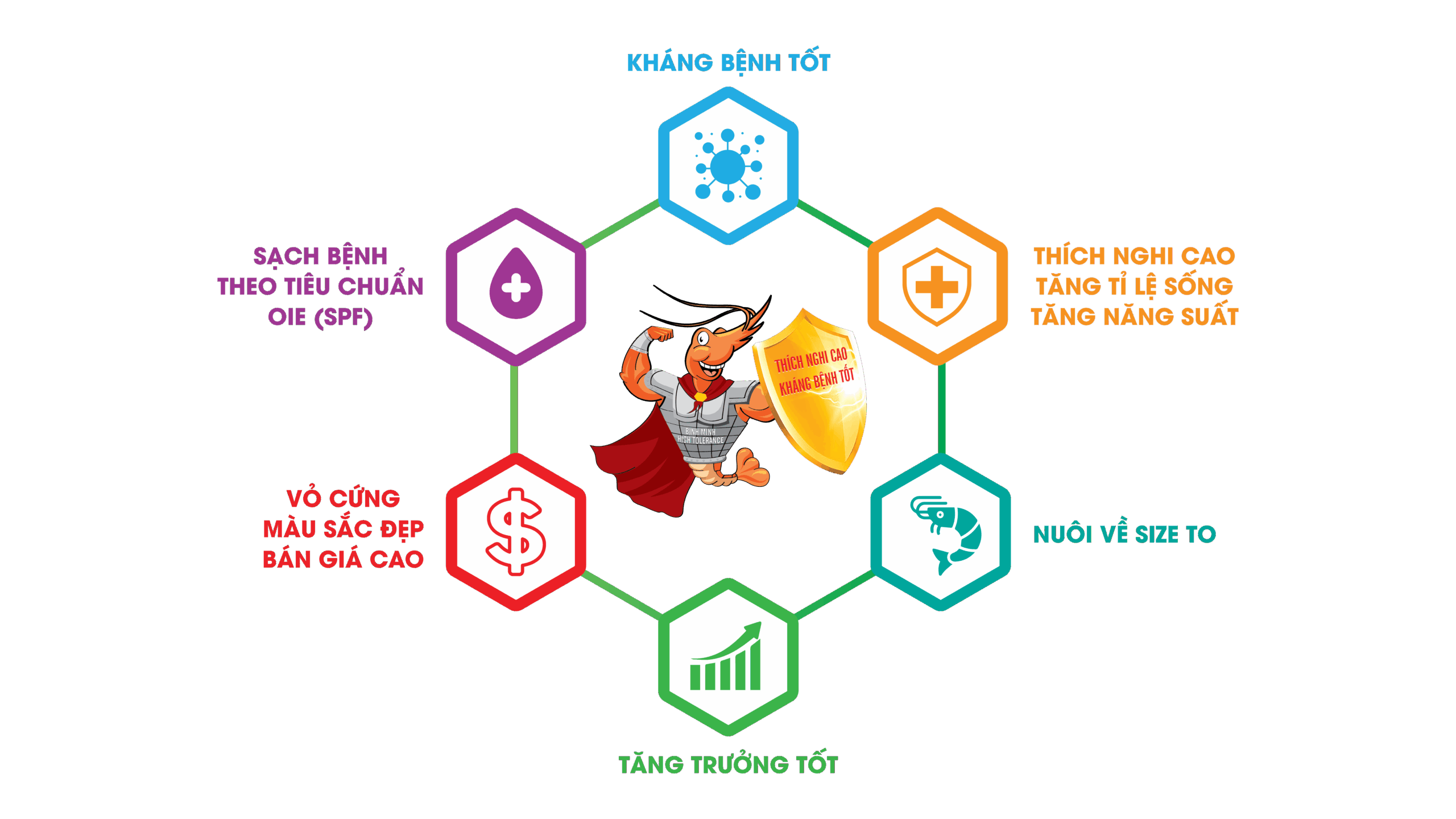 noi luc tinh trang con giong gia hoa binh minh 2 scaled