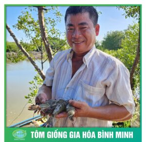 tom giong binh minh dong hanh cung nguoi nuoi tom 1