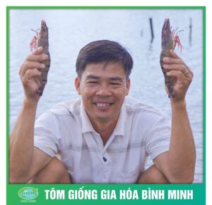 tom giong binh minh dong hanh cung nguoi nuoi tom 10