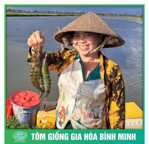 tom giong binh minh dong hanh cung nguoi nuoi tom 3