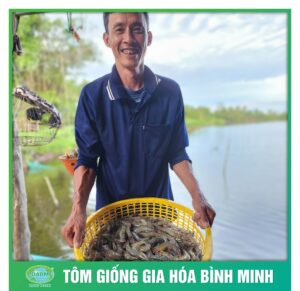 tom giong binh minh dong hanh cung nguoi nuoi tom 4