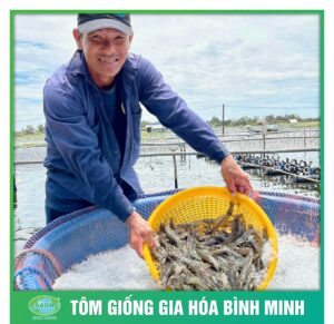 tom giong binh minh dong hanh cung nguoi nuoi tom 5