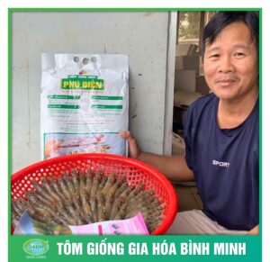 tom giong binh minh dong hanh cung nguoi nuoi tom 6