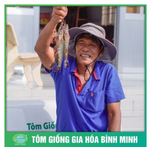 tom giong binh minh dong hanh cung nguoi nuoi tom 7