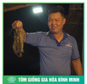 tom giong binh minh dong hanh cung nguoi nuoi tom 8