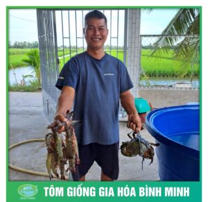tom giong binh minh dong hanh cung nguoi nuoi tom 9