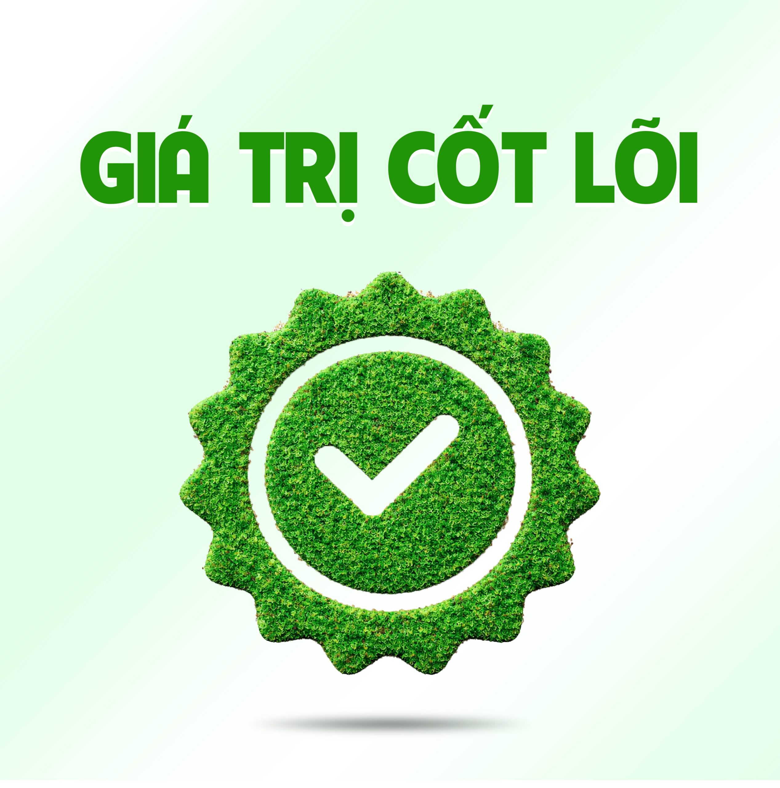 Gia Tri Cot Loi Binh Minh scaled