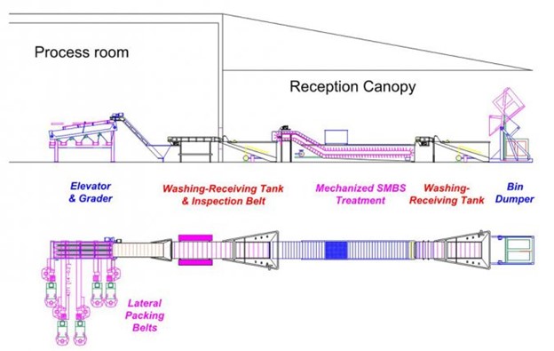 Các Quyết Định Quan Trọng Trong Việc Thu Hoạch Và Đóng Gói Tôm, Phần 2 Hình 3: Ví dụ về sự kết hợp giữa máy SMBS và dây chuyền phân loại.
