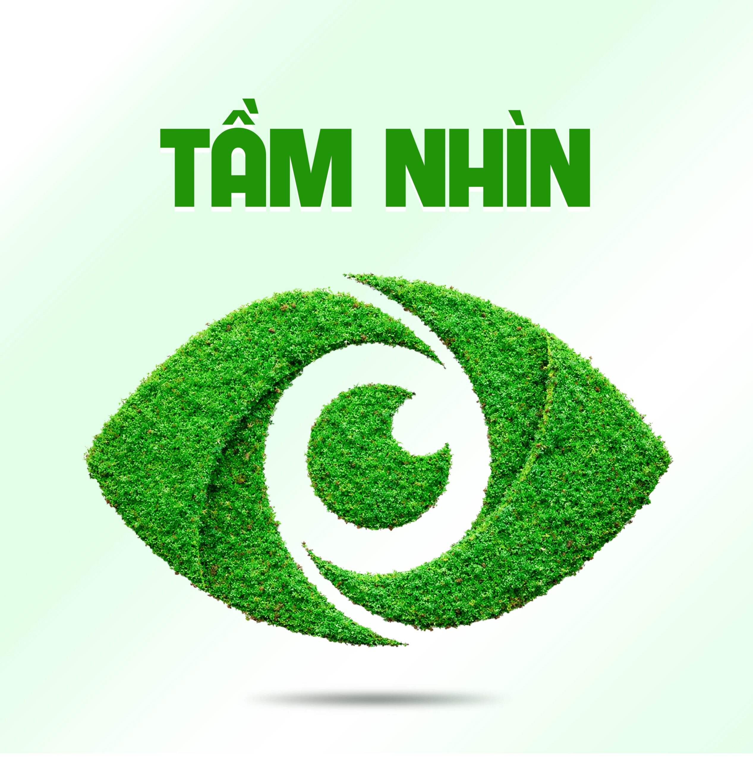 Tam Nhin Binh Minh scaled