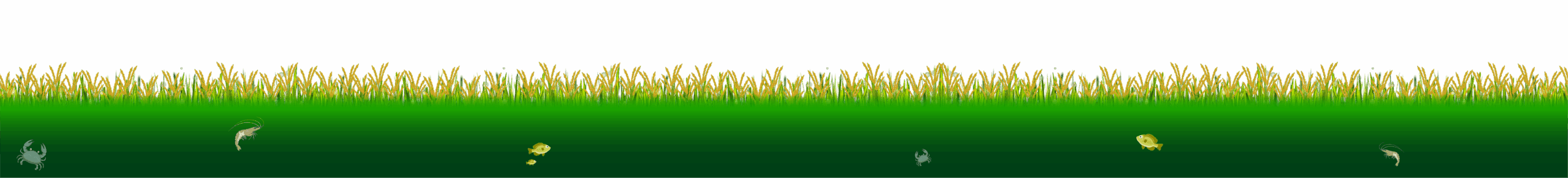 footer tomgiong binhminh scaled