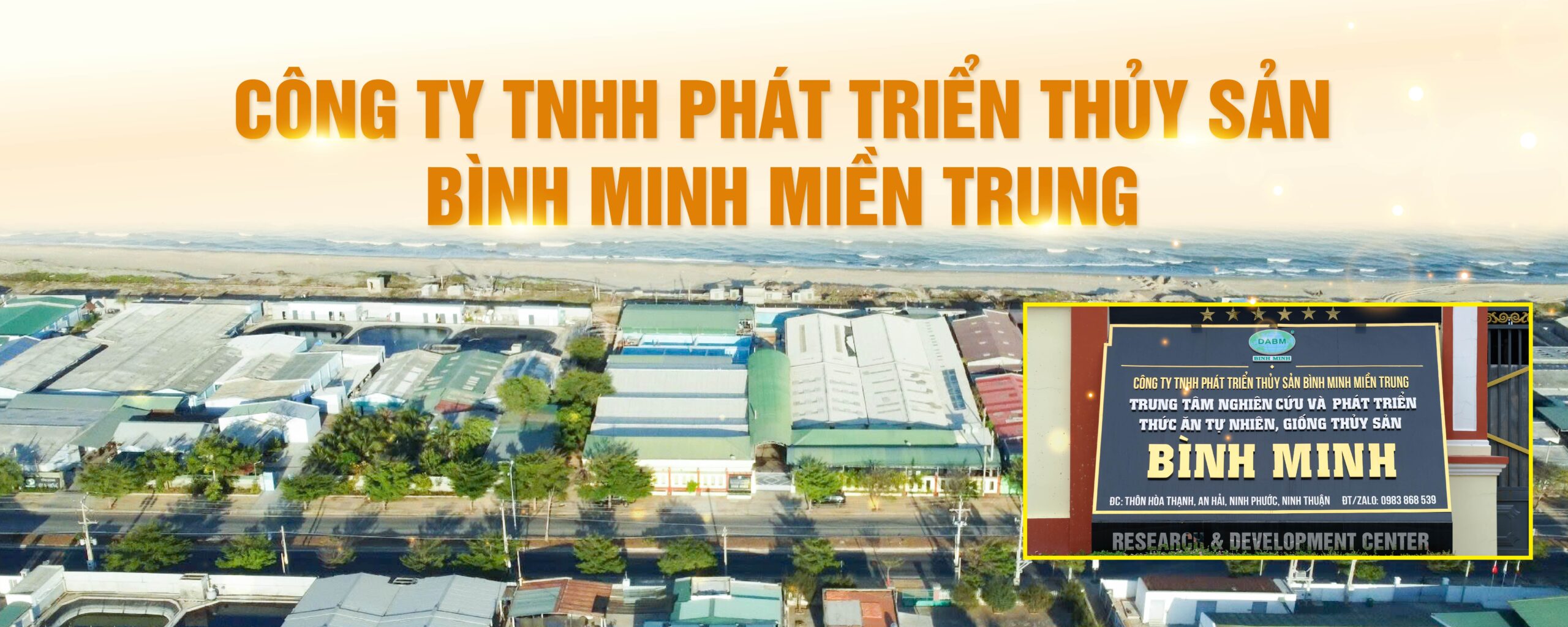 gioi thieu tom giong gia hoa binh minh scaled