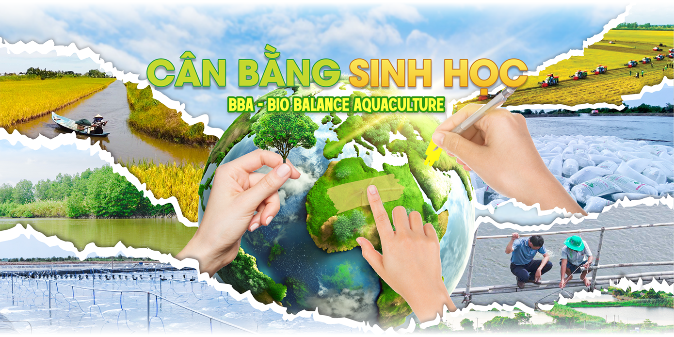png BBA CAN BANG SINH HOC BINH MINH BG