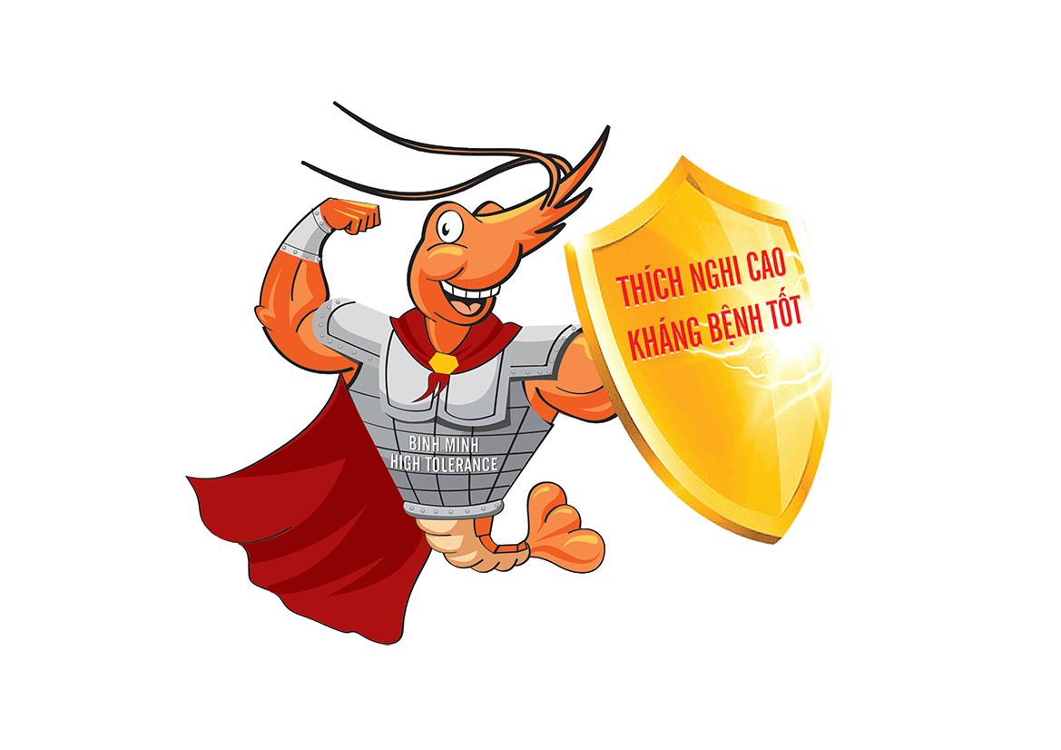 tom gif tnc binh minh