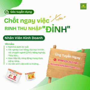 Bình Minh tuyển dụng Nhân viên kinh doanh