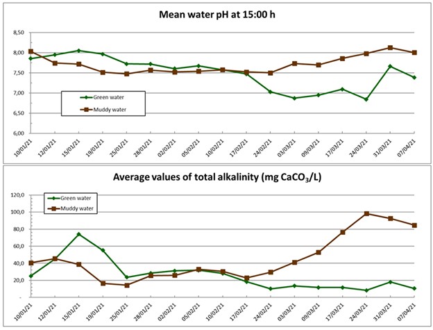 So Sánh Ao Nuôi Cá Rô Phi Mật Độ Cao Có Nước Màu Xanh Và Nước Đục: Đánh Giá Về Hiệu Quả Nuôi, Chất Lượng Nước Và Mức Độ Phát Sinh Mùi Vị Khó Chịu Hình 2 (a,b): Độ kiềm tổng trung bình của nước và độ pH buổi chiều trong các bể nước xanh và bùn.
