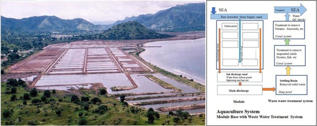 Tìm Hiểu Về Các Hệ Thống Nuôi Tôm Thâm Canh Khác Nhau Ở Châu Á Hình 3: Quang cảnh trang trại nuôi tôm SAJ ở Sumbawa (Taw 2001).
