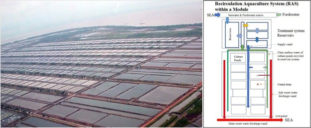 Tìm Hiểu Về Các Hệ Thống Nuôi Tôm Thâm Canh Khác Nhau Ở Châu Á Hình 4: Toàn cảnh các mô-đun CPB Indonesia (Taw, 2005).