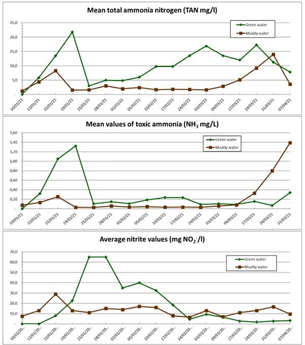 So Sánh Ao Nuôi Cá Rô Phi Mật Độ Cao Có Nước Màu Xanh Và Nước Đục: Đánh Giá Về Hiệu Quả Nuôi, Chất Lượng Nước Và Mức Độ Phát Sinh Mùi Vị Khó Chịu Hình 4 (a,b,c): Giá trị trung bình của tổng nitơ amoni TAN (NH4+ + NH3), amoni độc hại (NH3) và nitrit đo được vào buổi chiều (3 giờ chiều) trong các bể nước xanh và nước bùn.