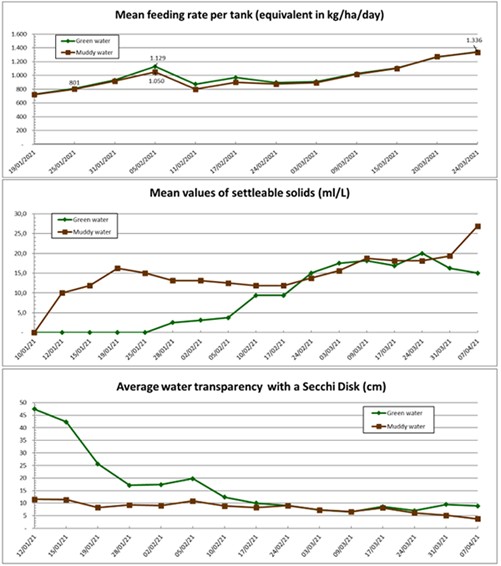 So Sánh Ao Nuôi Cá Rô Phi Mật Độ Cao Có Nước Màu Xanh Và Nước Đục: Đánh Giá Về Hiệu Quả Nuôi, Chất Lượng Nước Và Mức Độ Phát Sinh Mùi Vị Khó Chịu Hình 5 (a,b,c): Tốc độ cho ăn (tương đương kg thức ăn/ha/ngày), chất rắn lắng đọng (mL/L) và độ trong của nước (đĩa Secchi tính bằng cm) trong bể nước xanh và bể nước đục.