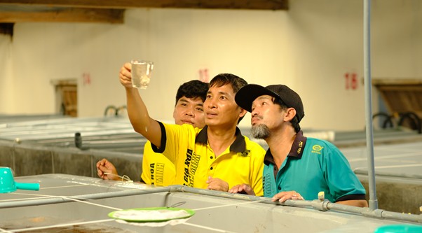 Kỹ thuật sản xuất Bình Minh 