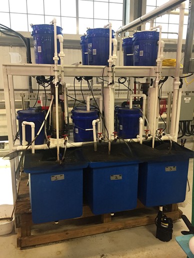 Hình ảnh hệ thống thí nghiệm được sử dụng trong nghiên cứu này.