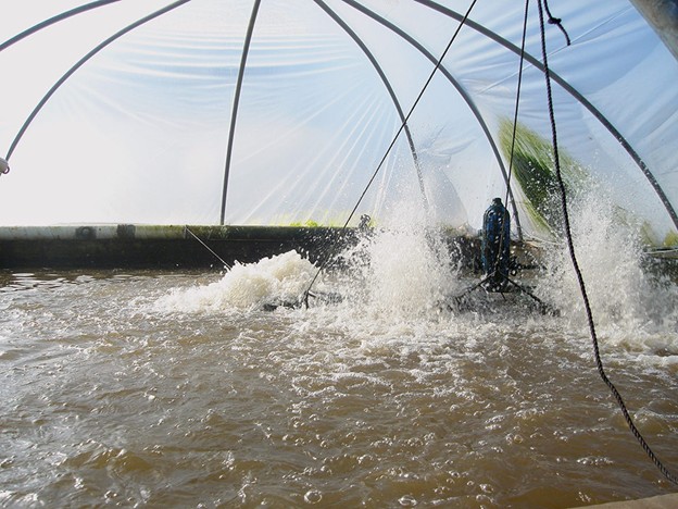 Sục khí là yếu tố thiết yếu, vì lượng oxy tiêu thụ trong các hệ thống biofloc thâm canh rất cao do quá trình hô hấp của cá cũng như cộng đồng vi sinh vật chuyển hóa chất thải hữu cơ của chúng.