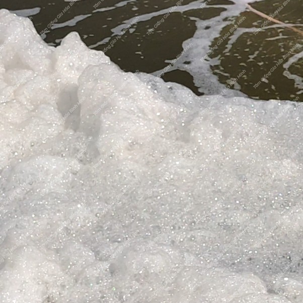 Bọt Trong Ao Nuôi Và Cách Xử Lý Picture9 2