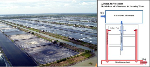 Tìm Hiểu Về Các Hệ Thống Nuôi Tôm Thâm Canh Khác Nhau Ở Châu Á Hình 2: Hình ảnh các mô-đun được thiết kế lại của Dipasena (Taw et al. 2008).
