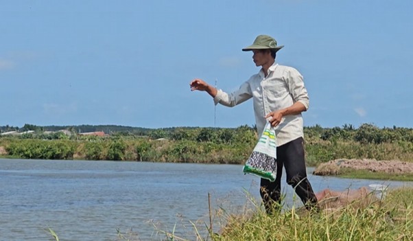 Sử dụng Hạt Sinh Học Phú Điền để gây màu nước, hạn chế rong bún phát triển