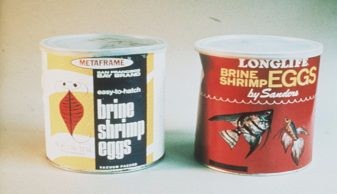 Những hộp thiếc này nằm trong số những hình thức thương mại hóa đầu tiên của artemia, được sản xuất vào những năm 1960. Ảnh do Patrick Sorgeloos cung cấp.