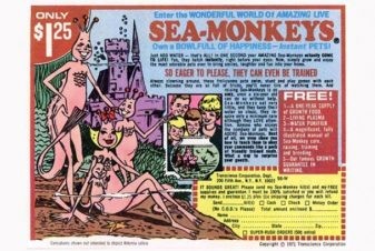 Một quảng cáo truyện tranh phổ biến cho Sea-Monkeys.