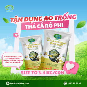 Ảnh: Bao bì cá rô phi toàn đực Bình Minh