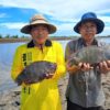 Ảnh: Nông dân thu hoạch cá rô phi toàn đực Bình Minh