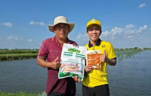 Sử dụng Hạt Sinh Học Phú Điền để gây màu nước