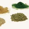 Thức ăn cho cá thử nghiệm chứa các tỷ lệ khác nhau của tảo Chlorella khô thay thế cho bột cá.