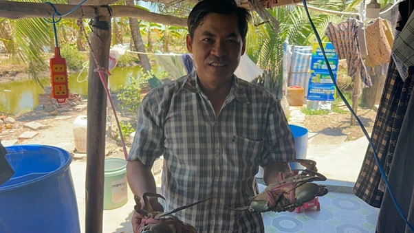 Khách hàng tại Cà Mau chia sẻ: “Cua lớn nhanh hơn so với các dòng khác, ăn mạnh, size lớn, bán được giá cao”. 